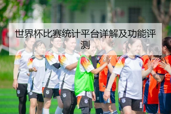 世界杯比赛统计平台详解及功能评测