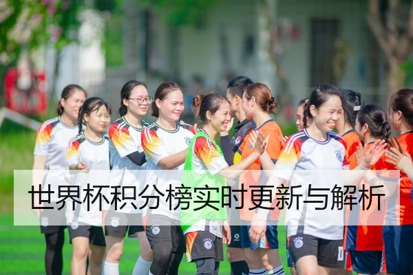 世界杯积分榜实时更新与解析