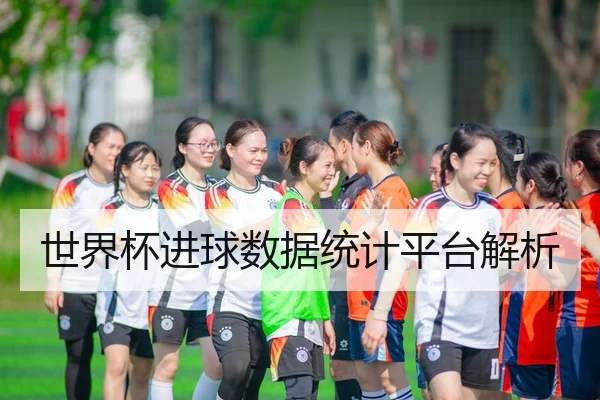 世界杯进球数据统计平台解析