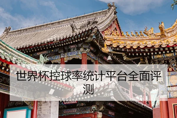 世界杯控球率统计平台全面评测
