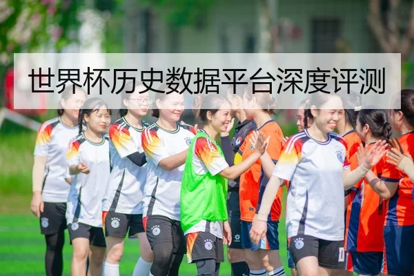 世界杯历史数据平台深度评测