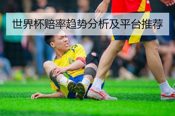 世界杯赔率趋势分析及平台推荐