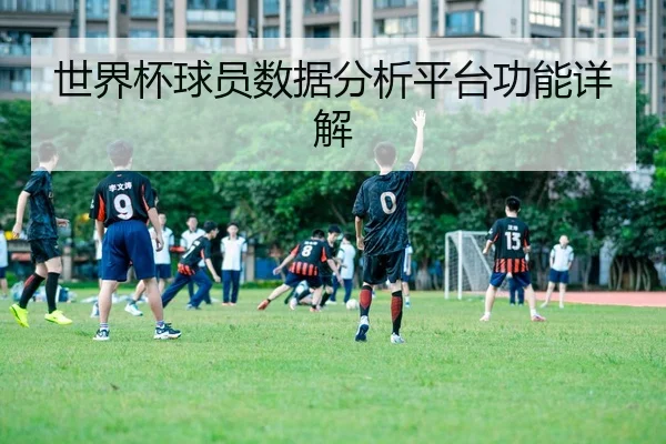世界杯球员数据分析平台功能详解