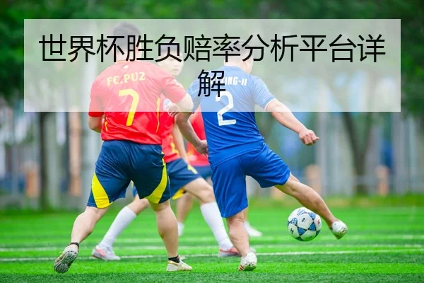 世界杯胜负赔率分析平台详解