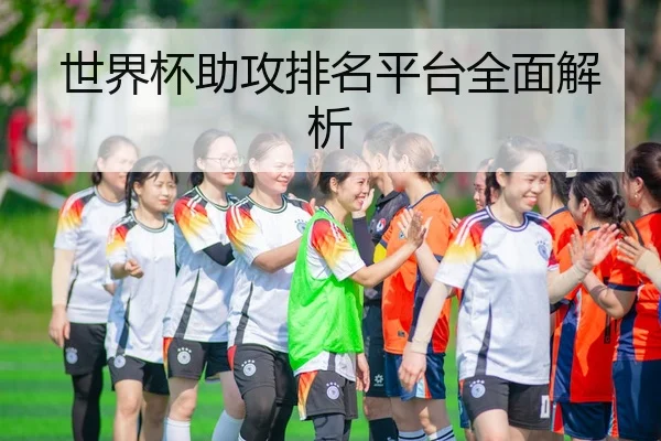世界杯助攻排名平台全面解析