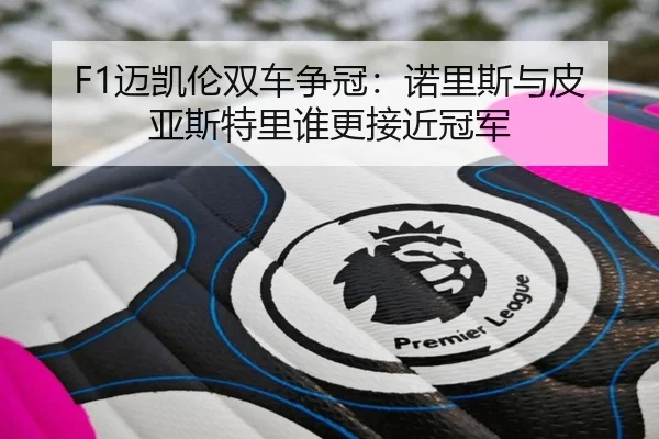 F1迈凯伦双车争冠：诺里斯与皮亚斯特里谁更接近冠军
